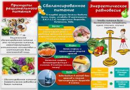 Сбалансированное питание